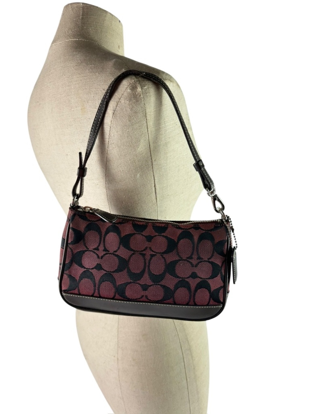 Rare Vintage COACH 6094 C Demi Pouch Signature Shoulder Bag Purse Y2K Crimson